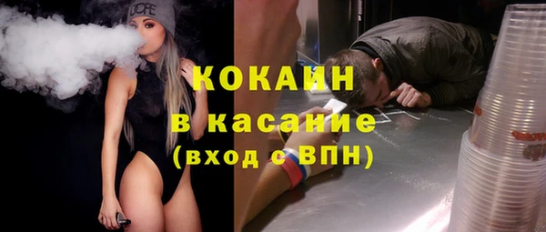молекула духа Чита
