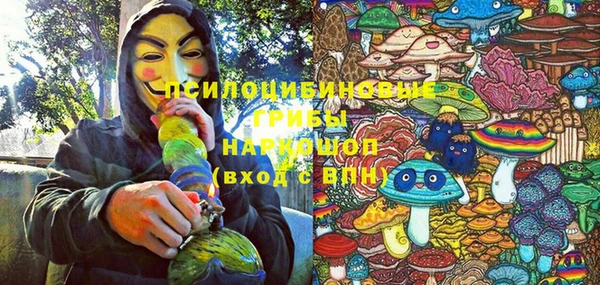 спайс Карпинск