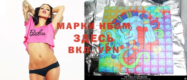 молекула духа Чита
