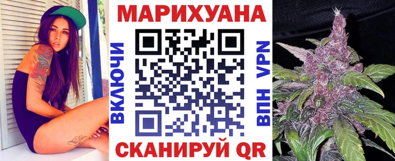 Бошки марихуана SATIVA & INDICA  продажа наркотиков  Моздок 